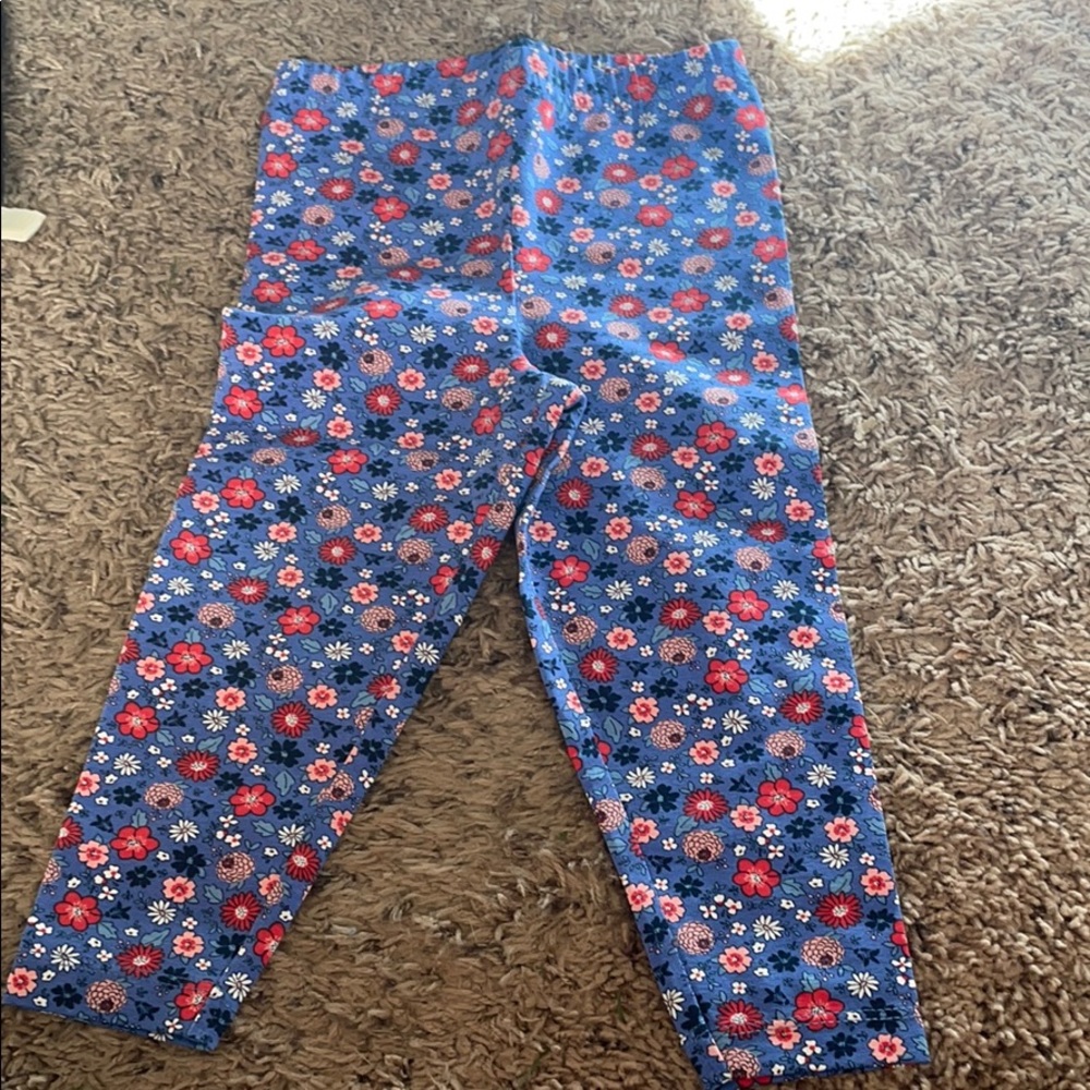 Carter’s 24 months pants brand new